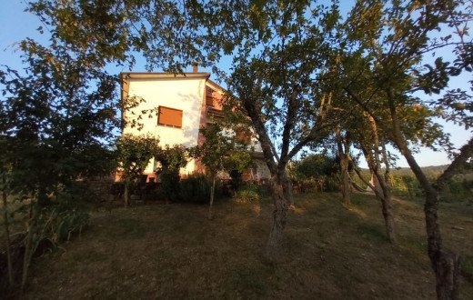 Località Boccolo dei Tassi