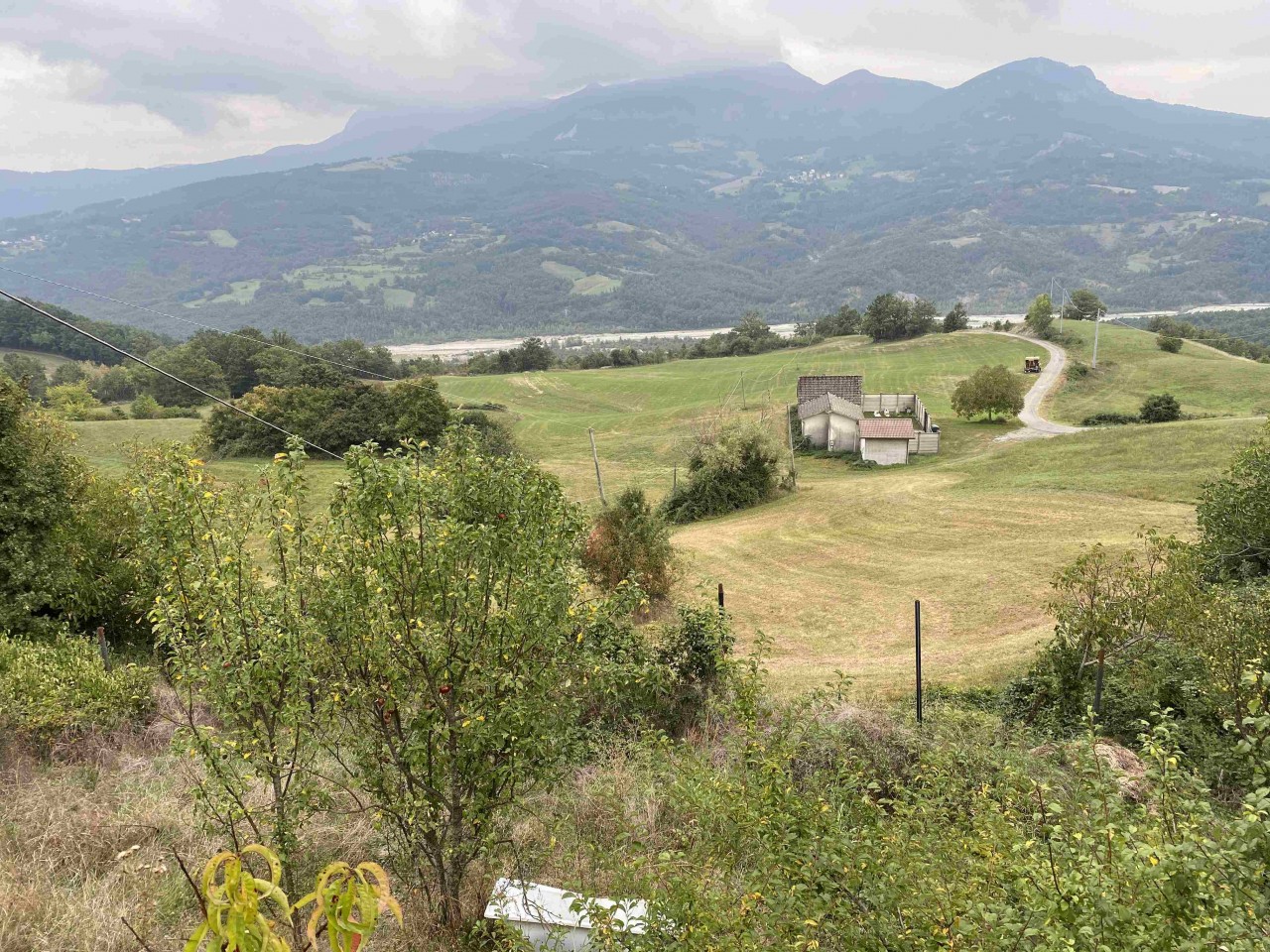 2466img-1139-compressed