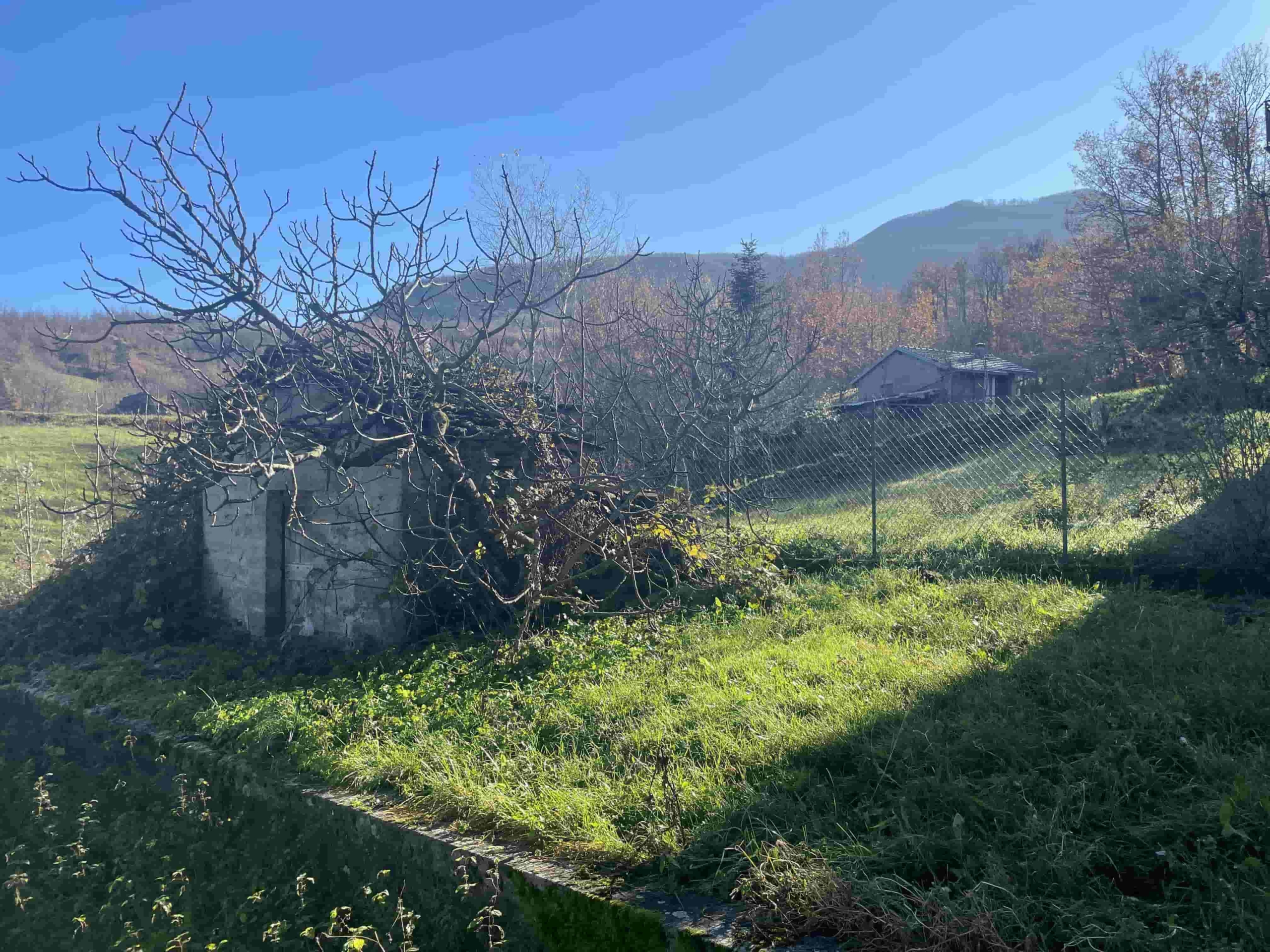 Localit&agrave; Pietracavata, Tosca Varsi