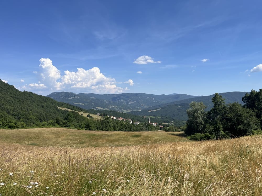 Loc. Cogno di Grezzo