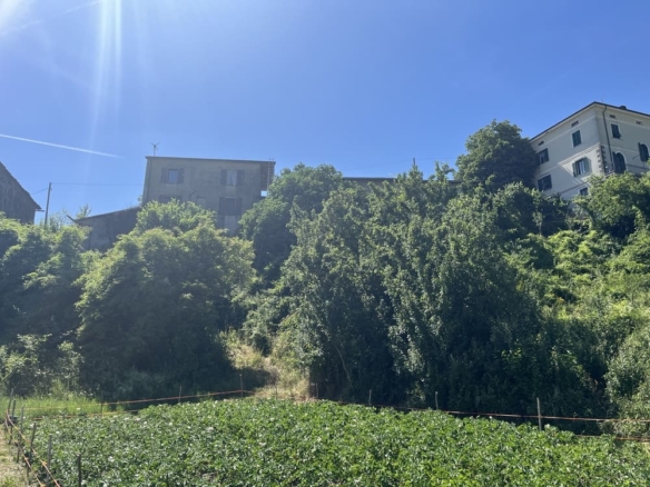 Loc. Cogno di Grezzo