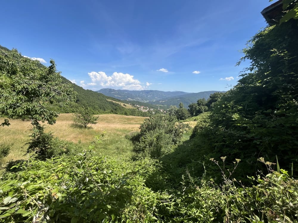 Loc. Cogno di Grezzo