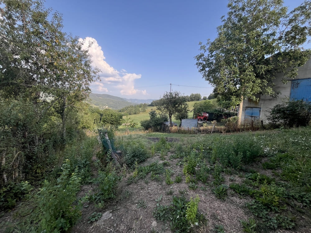 Loc Taverna, Bardi
