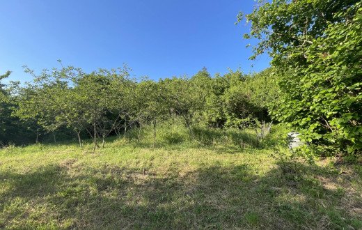 Casa Semi-indipendente, Loc. Castagnorfa